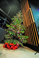 2011/12/01 - RWCMD Christmas Tree