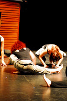 2009/06/02 - Volcano Theatre - Walk the Dead Dog Dress Rehearsal
